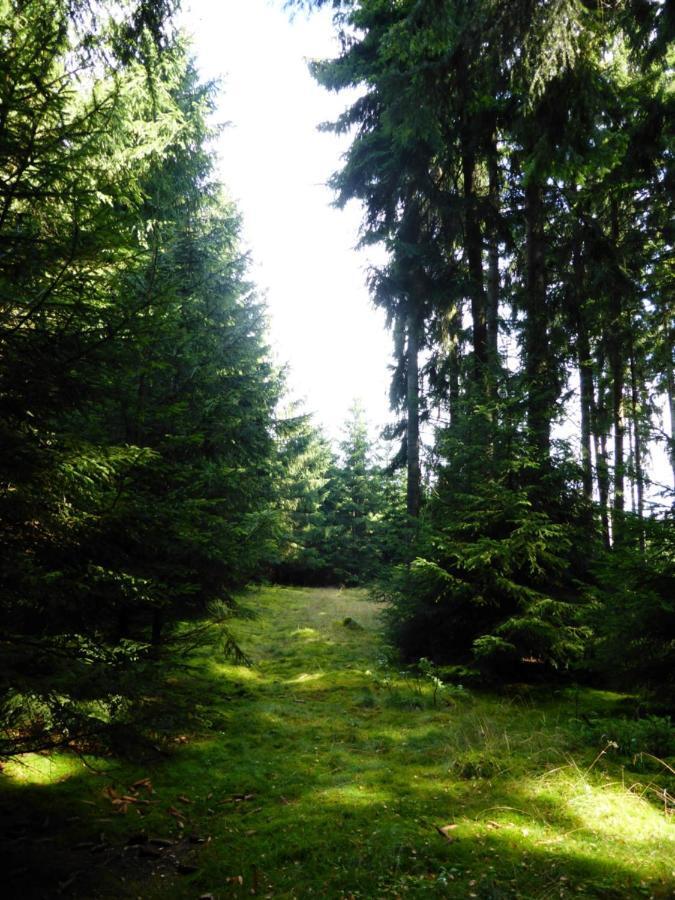 Berghof Apartment Zeulenroda-Triebes ภายนอก รูปภาพ
