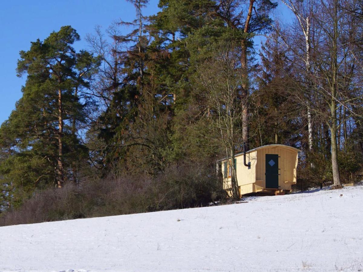Berghof Apartment Zeulenroda-Triebes ภายนอก รูปภาพ